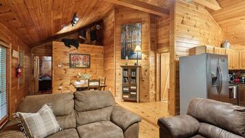 Smart TV, chimenea y videoteca