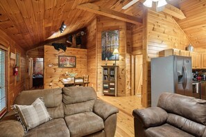 Smart TV, fireplace, video library