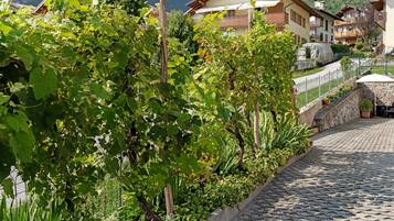 Parco della struttura