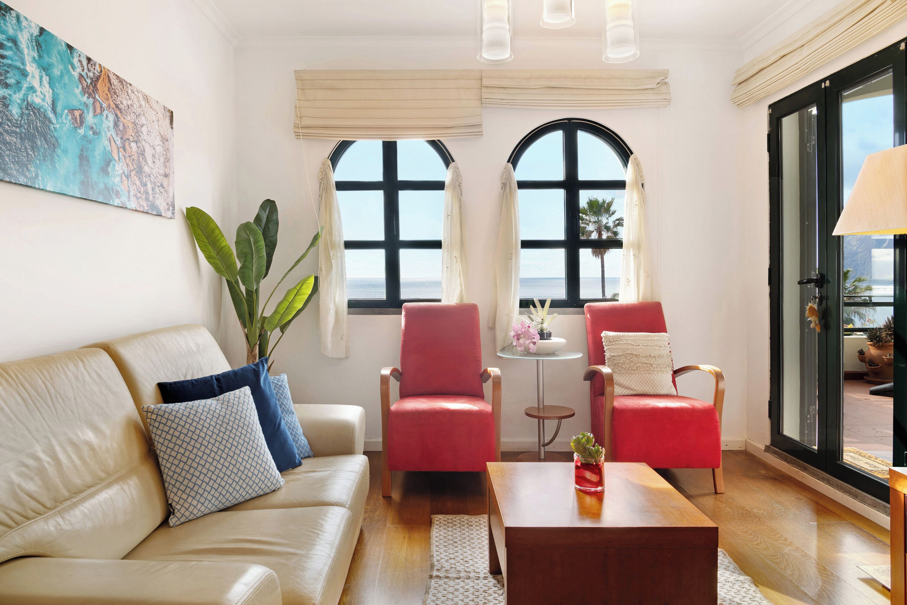 Televisión y reproductor de DVD 