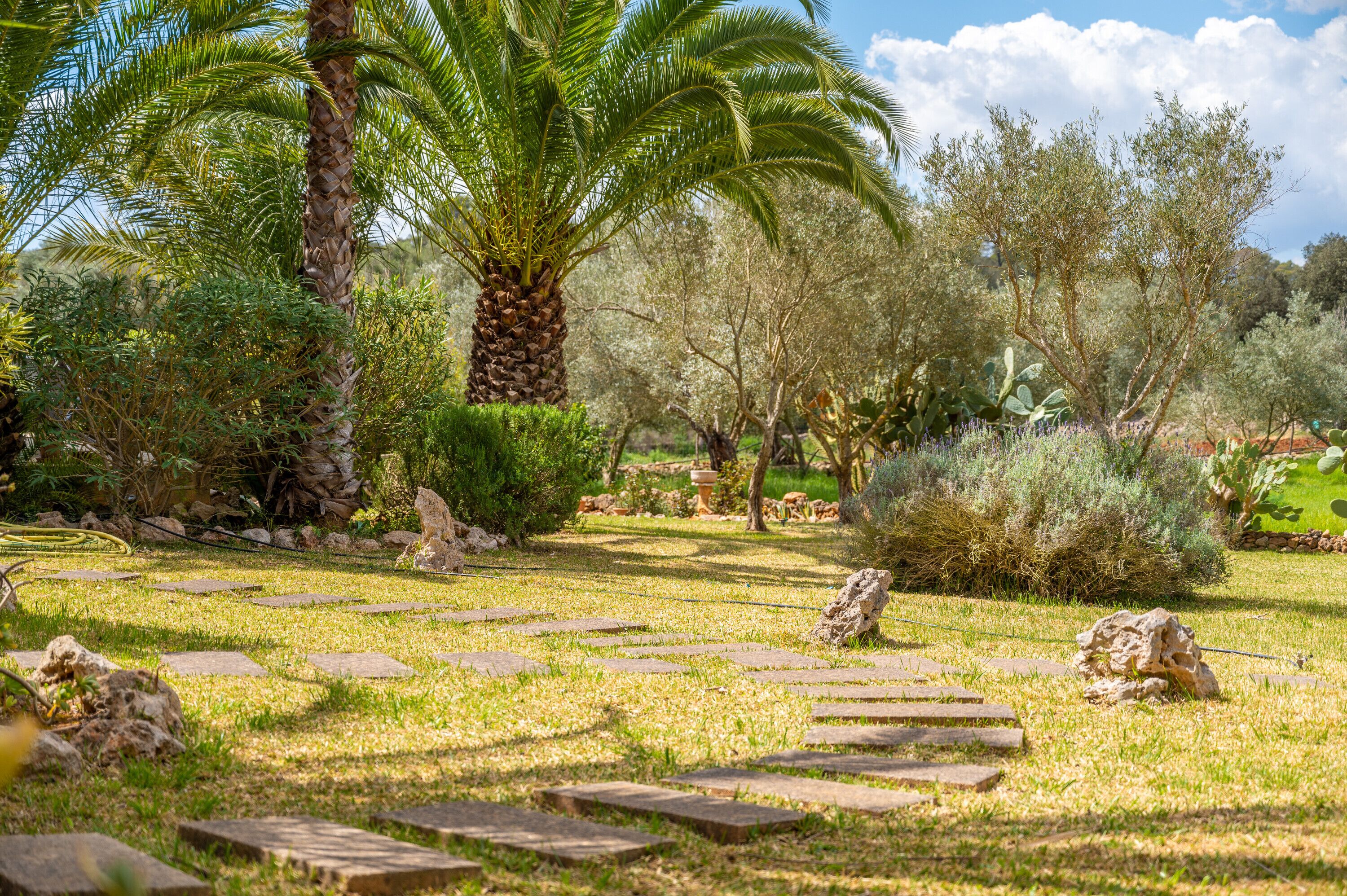 Jardines del alojamiento