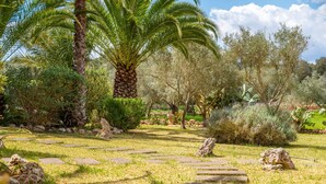 Un jardin agrémenté d’un palmier, d’un sentier en pierre et de divers arbustes.