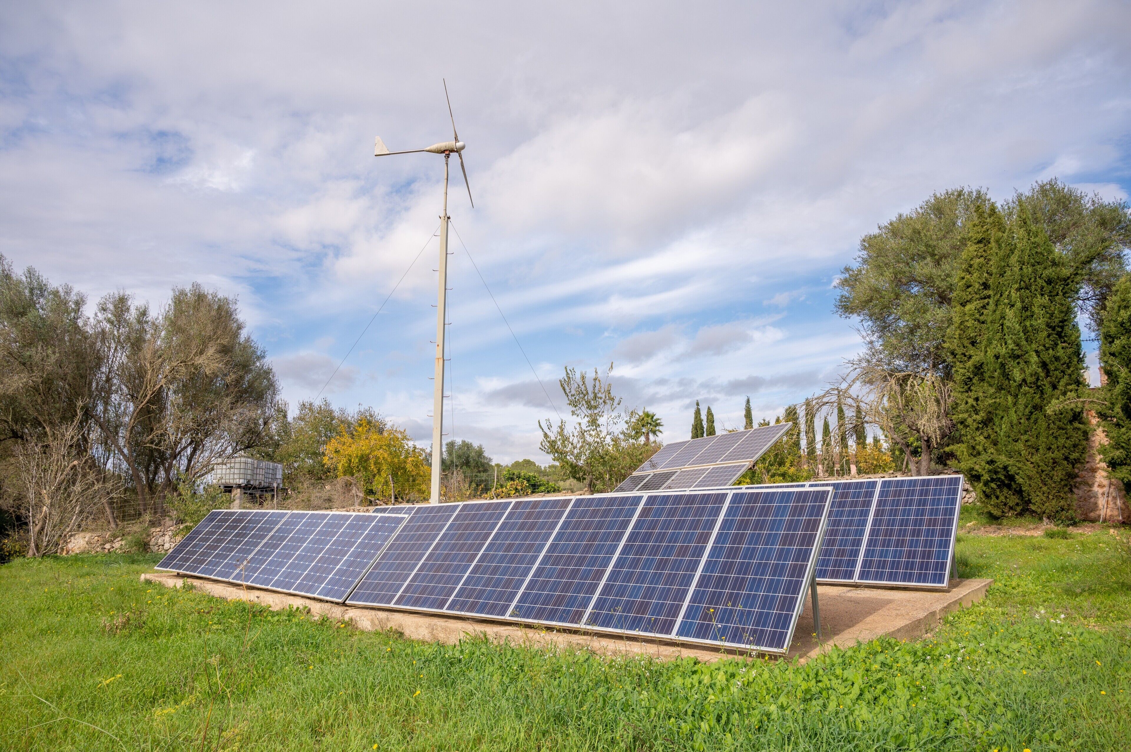Solar panels in a grassy area with trees and a clear sky.