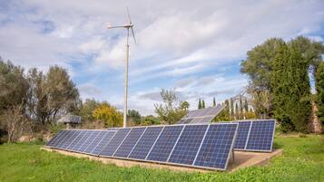 Solar panels in a grassy area with trees and a clear sky.