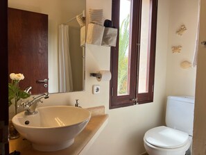 Chuveiro, secador de cabelo, toalhas de banho 