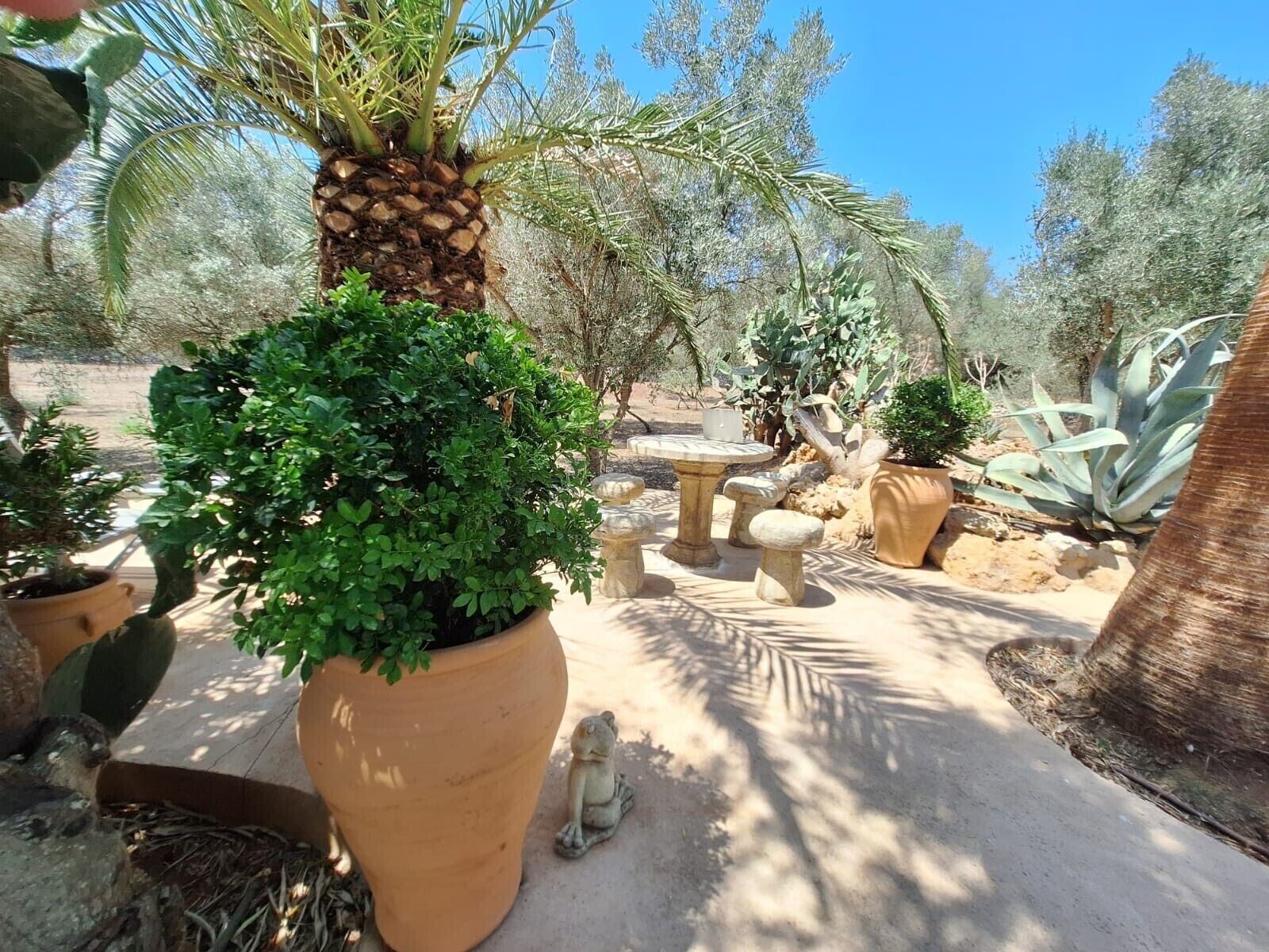 Overnatningsstedets område