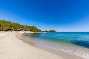 Playa en los alrededores 