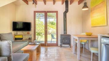 Televisión y chimenea