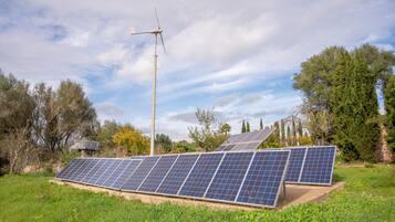 Solar panels on a grassy field with trees and a wind turbine in the background.