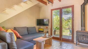 Televisión y chimenea