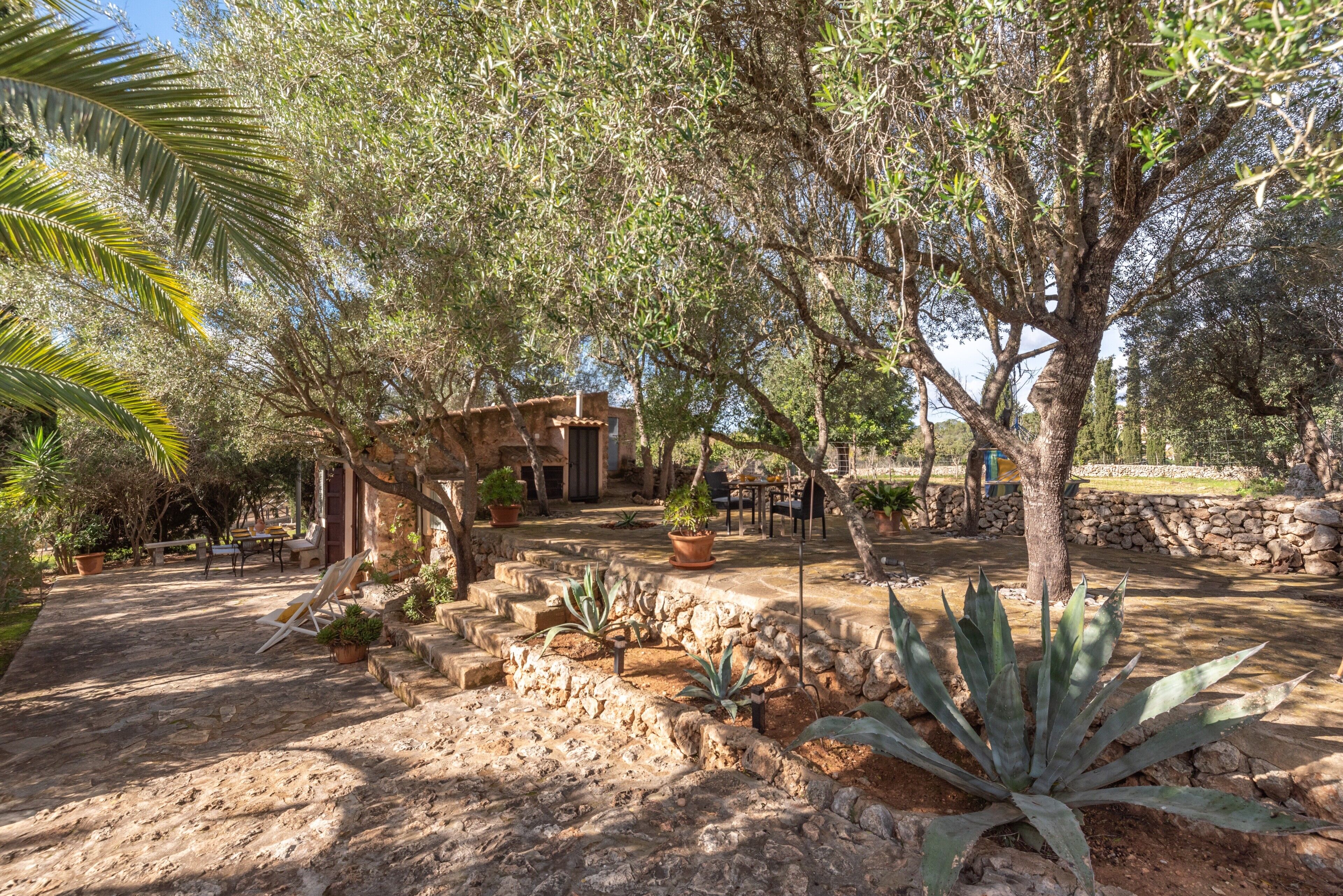 Áreas de la propiedad