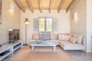 Televisión y chimenea 