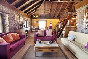 テレビ、暖炉、DVD プレーヤー