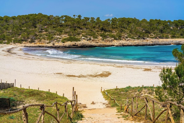 Playa en los alrededores