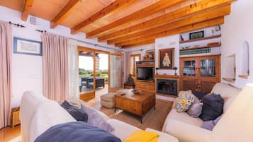 Fernseher, Kamin, DVD-Player