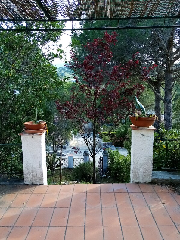 A terrace with terracotta planters, a view of a lush green landscape, and a metal railing.