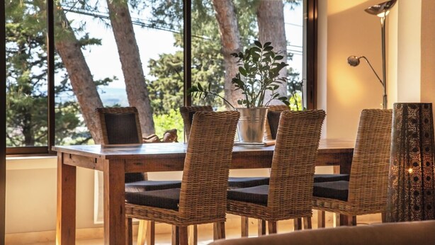 Un comedor con mesa de madera y sillas de mimbre, una planta en maceta y vista a árboles y cielo a través de amplios ventanales.