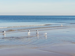 In StrandnÀhe