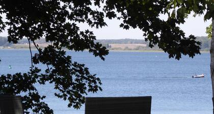 Ug-buche, Deutschland