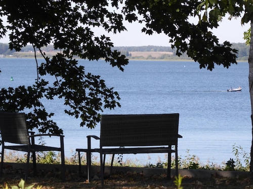UG-Buche, Deutschland
