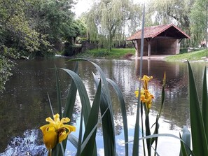 A serene pond with yellow flowers in the foreground, a rustic building with a red roof in the background, and lush greenery surrounding the area. - Peace and quiet on a private island in a bucolic setting. (Barro)