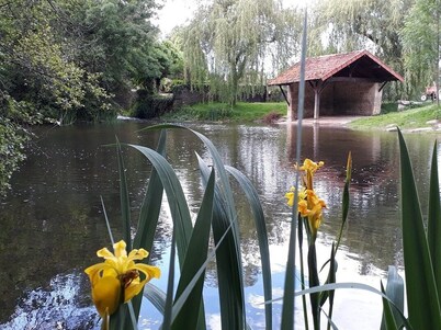Peace and quiet on a private island in a bucolic setting.