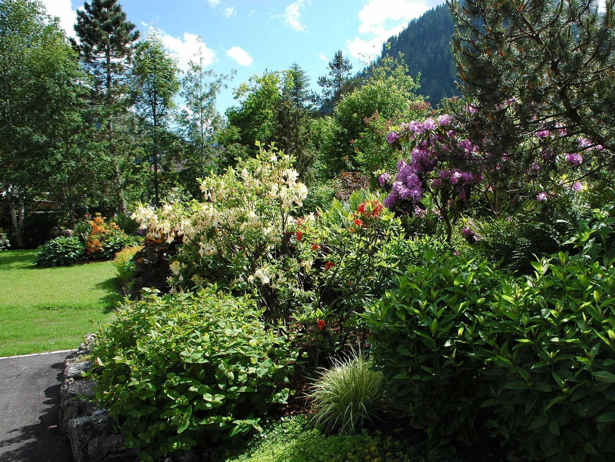 A lush garden with various flowering plants and trees, a paved path, and a mountain backdrop.