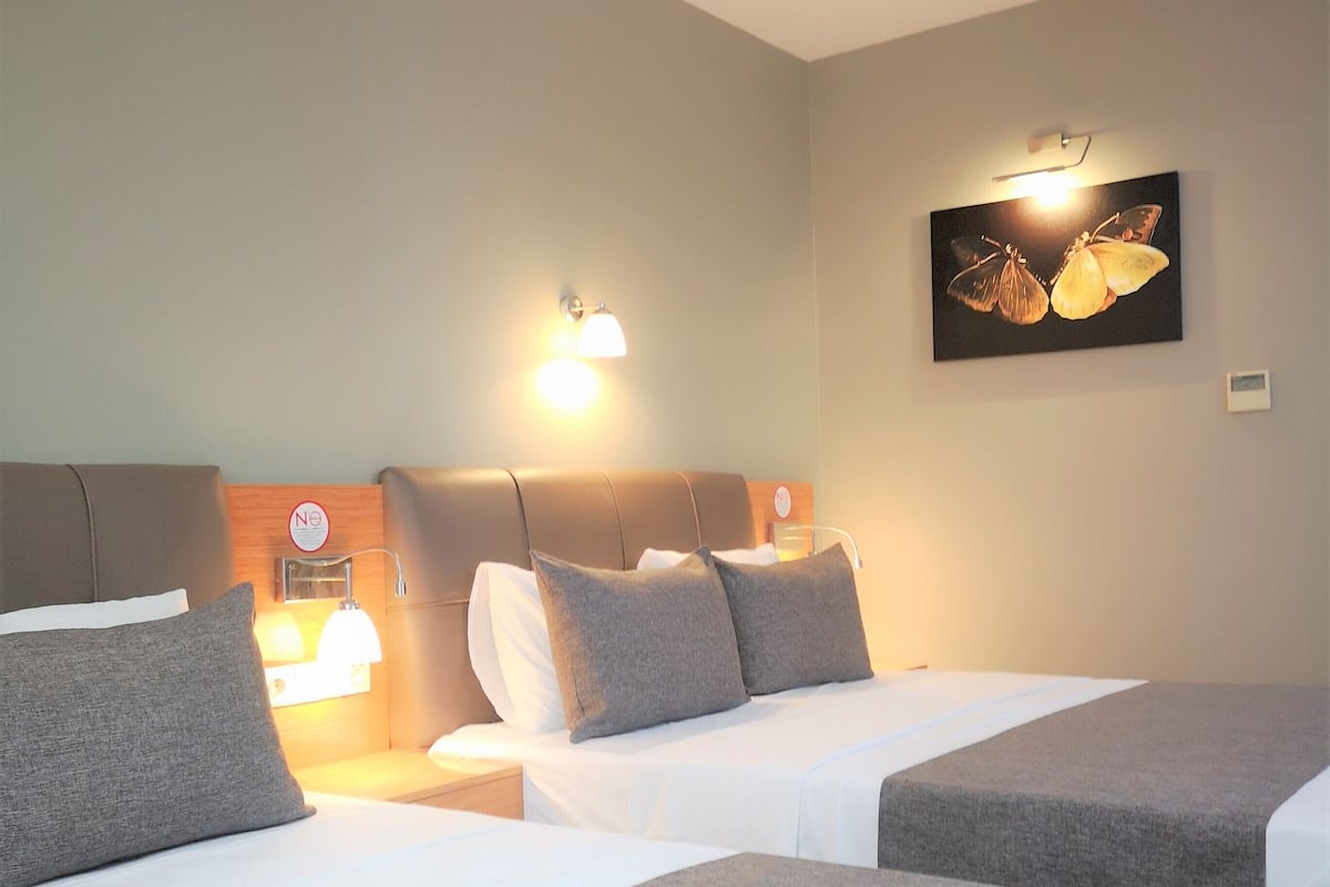 A hotel room with two beds, each with a grey bedspread and pillows, a nightstand with a lamp, and a wall-mounted picture of butterflies.