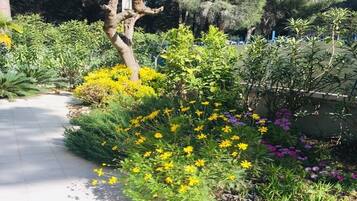 Terrein van de accommodatie