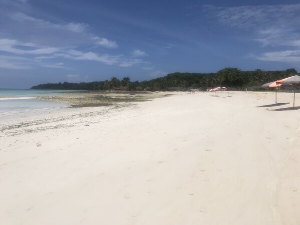 Una playa con arena blanca, agua azul cristalina y una fila de árboles al fondo.