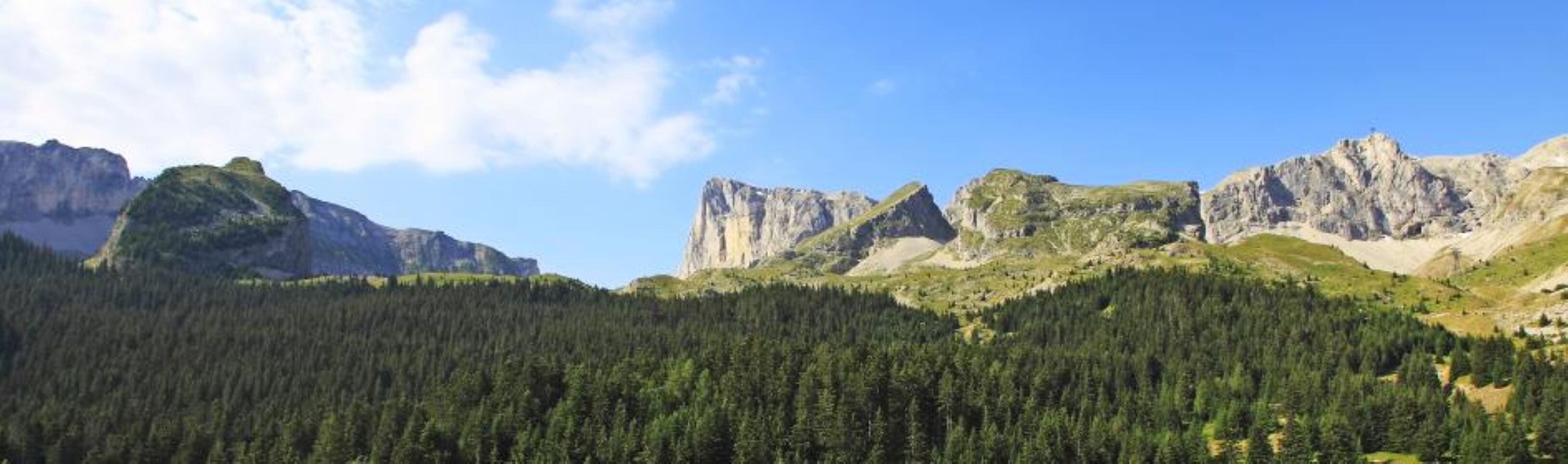 A mountainous landscape with dense forest and rocky peaks.