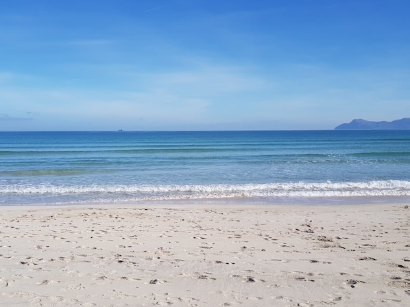 Nära stranden