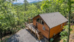 Eine Holzhütte mit einer Terrasse, umgeben von dichtem Wald und Bergen im Hintergrund.