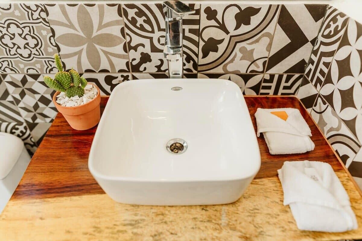 A bathroom with a white sink, a potted cactus, and a towel rack.