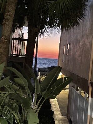 Property grounds - A private beachfront condo just steps from beach   (Indian Rocks Beach)