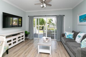 Älytelevisio, DVD-soitin