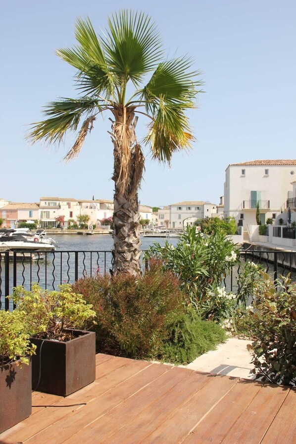 A wooden deck with a palm tree, potted plants, and a view of a marina with boats and buildings.