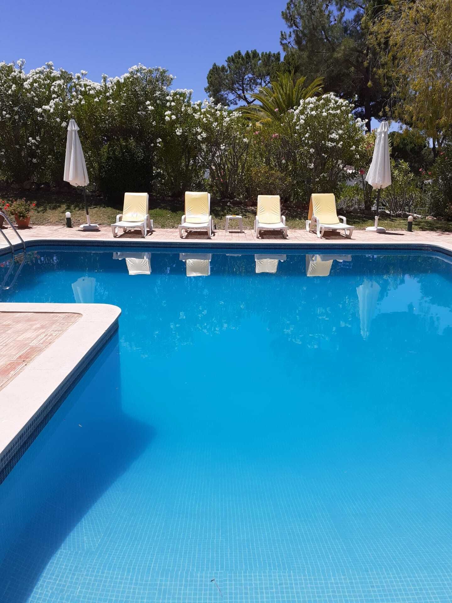 A swimming pool with white lounge chairs and umbrellas, surrounded by trees and greenery.
