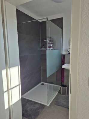 Douche, séchoir à cheveux, serviettes fournies, savon