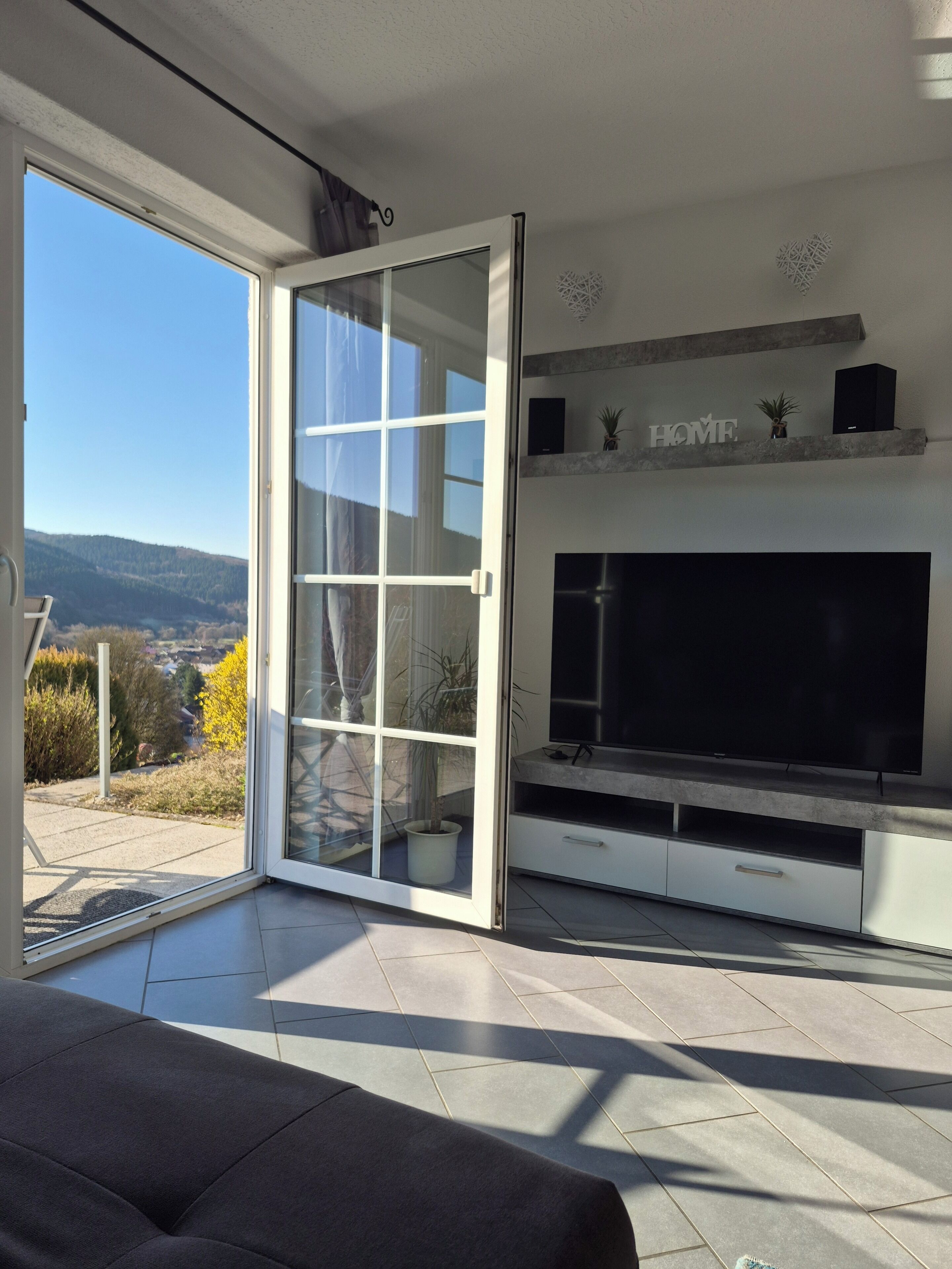 Smart-TV, Bücher, Stereoanlage