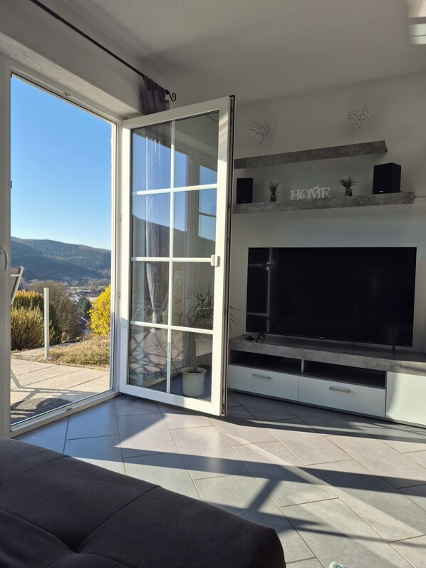 Smart TV, books, stereo