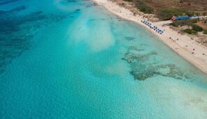 An aerial view of a beach with clear turquoise waters, a sandy shore, and a row of blue umbrellas.
