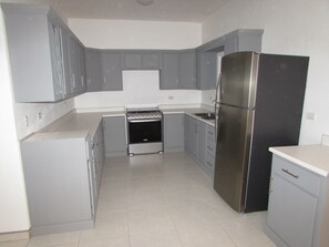 Fridge, stovetop, cookware/dishes/utensils, ice maker