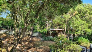 A garden with a wooden pergola, stone pathway, and various plants. - Villa Tanchet-Plage Sea view (Les Sables-d'Olonne)