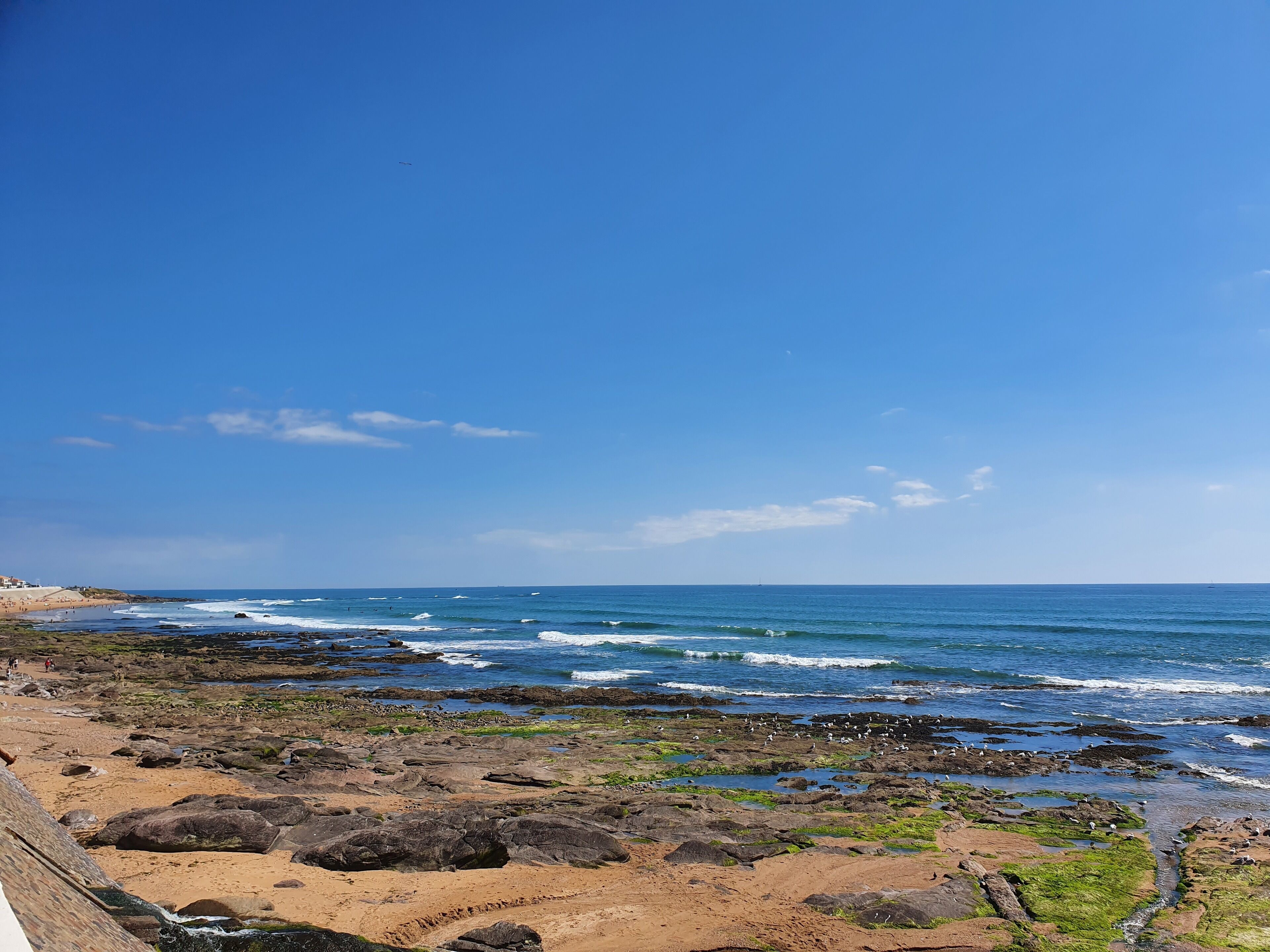 Plage, chaises longues