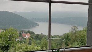 A window with a view of a lake and hills, a small potted plant on a windowsill, and a wooden ledge below. - Apartment with lake view (Waldeck)