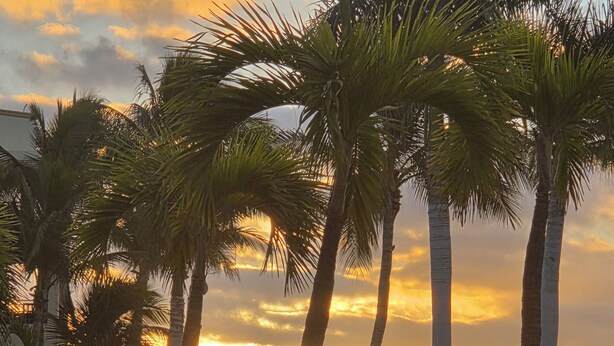 Vista al atardecer con palmeras, una piscina y una playa en el fondo.