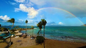 Una playa con palmeras, una piscina y vista al océano.