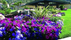 Un edificio con un patio cubierto, rodeado de un jardín bien cuidado y flores vibrantes de color morado y azul.