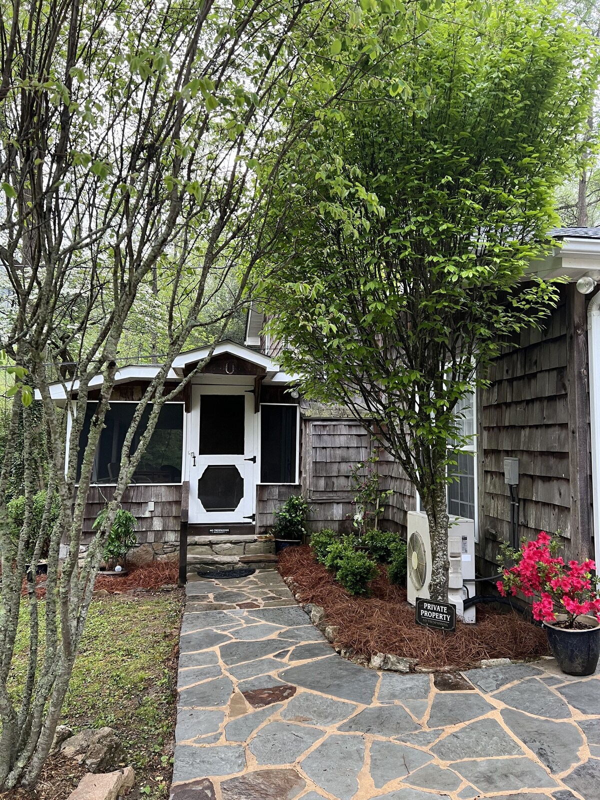 Imagen de perfil del propietario o de la propietaria